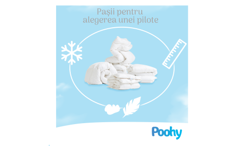 Cum să alegeți pilota potrivită din puf de gâscă
