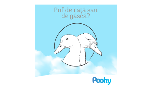 Puf de rață sau puf de gâscă? Care este mai calitativ?