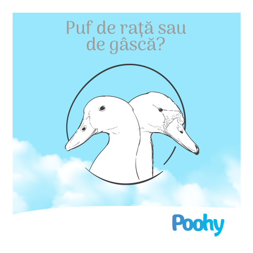 Puf de rață sau puf de gâscă? Care este mai calitativ?
