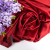 Royal red